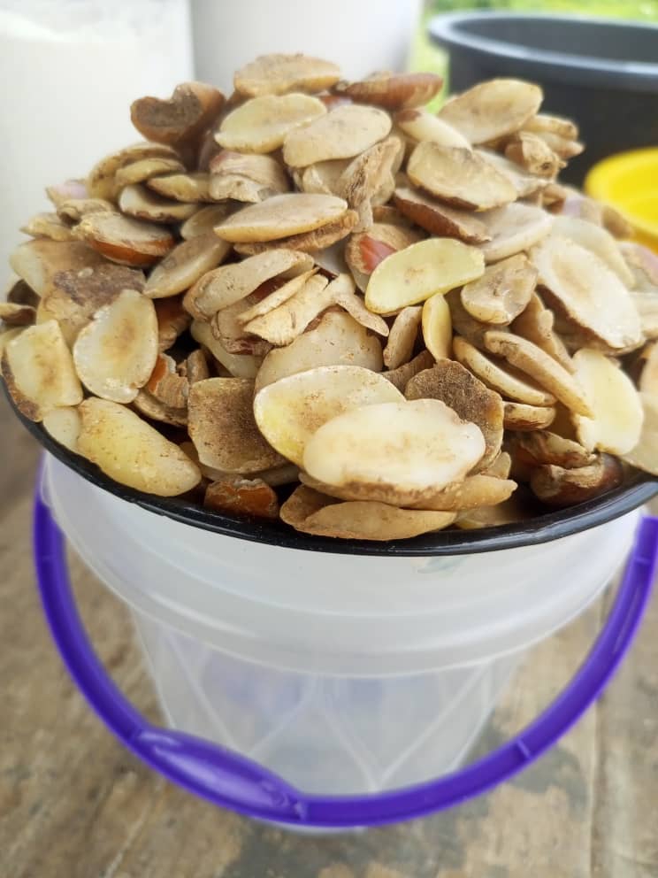 Module of Fresh and quality Ogbono for sale is available at Efritin