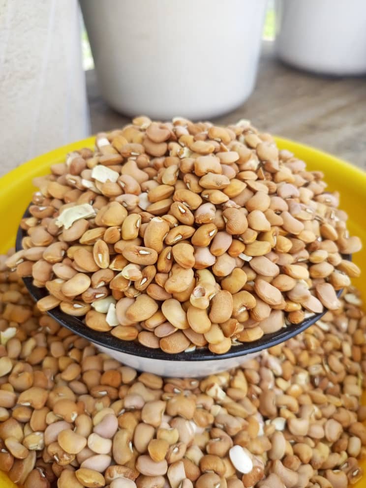 Modules of Large grain honey beans for sale is available at Efritin